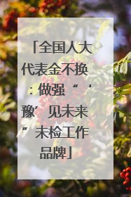 全国人大代表金不换：做强“‘豫’见未来”未检工作品牌