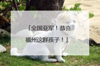 全国亚军！恭喜福州这群孩子！