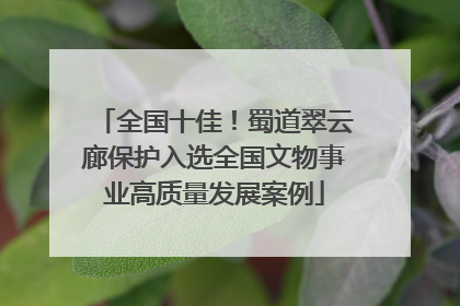 全国十佳！蜀道翠云廊保护入选全国文物事业高质量发展案例