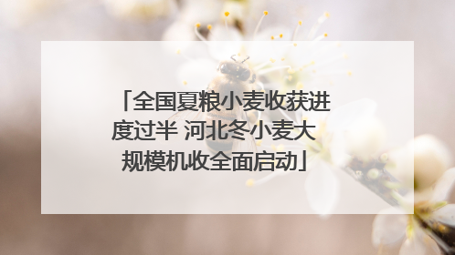 全国夏粮小麦收获进度过半 河北冬小麦大规模机收全面启动