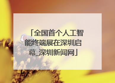 全国首个人工智能终端展在深圳启幕_深圳新闻网