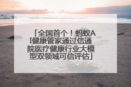 全国首个！蚂蚁AI健康管家通过信通院医疗健康行业大模型双领域可信评估