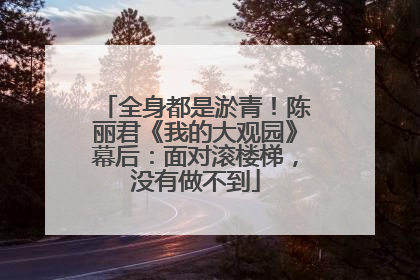 全身都是淤青！陈丽君《我的大观园》幕后：面对滚楼梯，没有做不到
