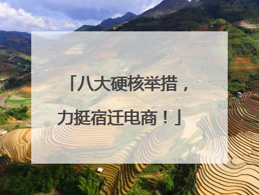 八大硬核举措，力挺宿迁电商！