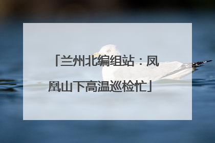 兰州北编组站：凤凰山下高温巡检忙