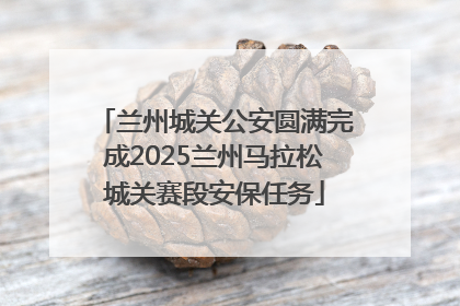 兰州城关公安圆满完成2025兰州马拉松城关赛段安保任务