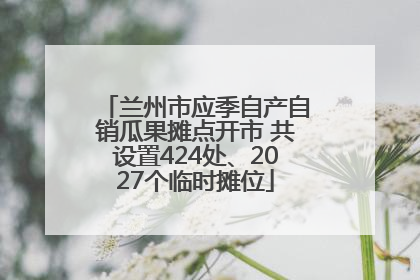 兰州市应季自产自销瓜果摊点开市 共设置424处、2027个临时摊位