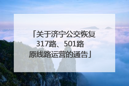 关于济宁公交恢复317路、501路原线路运营的通告