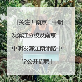 关注！南京一中明发滨江分校及南京一中明发滨江南浦路中学公开招聘