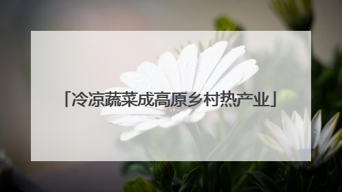 冷凉蔬菜成高原乡村热产业