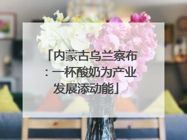 内蒙古乌兰察布：一杯酸奶为产业发展添动能