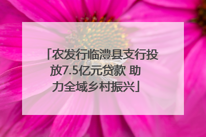 农发行临澧县支行投放7.5亿元贷款 助力全域乡村振兴