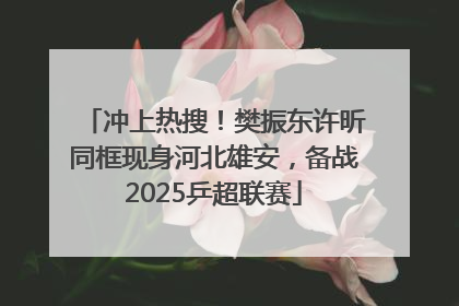 冲上热搜！樊振东许昕同框现身河北雄安，备战2025乒超联赛