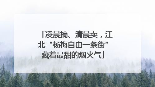 凌晨摘、清晨卖，江北“杨梅自由一条街”藏着最甜的烟火气