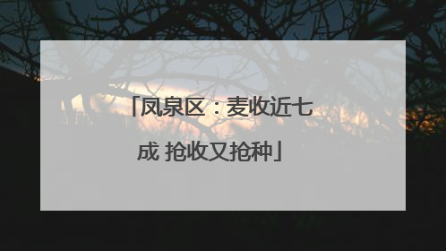 凤泉区：麦收近七成 抢收又抢种