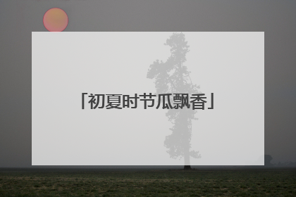 初夏时节瓜飘香
