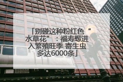 别碰这种粉红色“水草花”：福寿螺进入繁殖旺季 寄生虫多达6000条