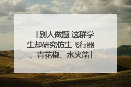 别人做题 这群学生却研究仿生飞行器、青花椒、水火箭