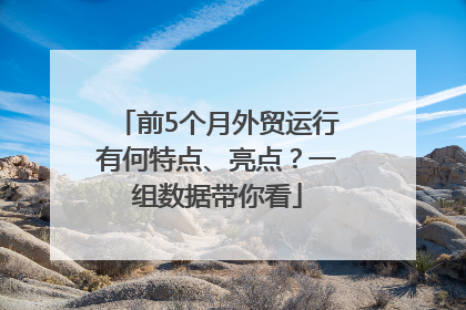 前5个月外贸运行有何特点、亮点？一组数据带你看