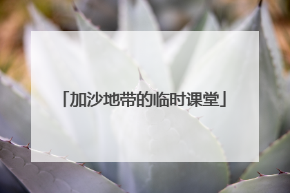 加沙地带的临时课堂