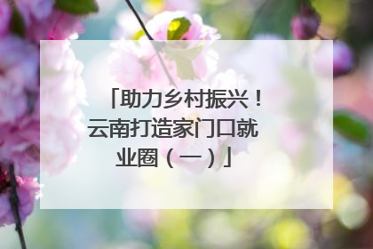 助力乡村振兴！云南打造家门口就业圈（一）