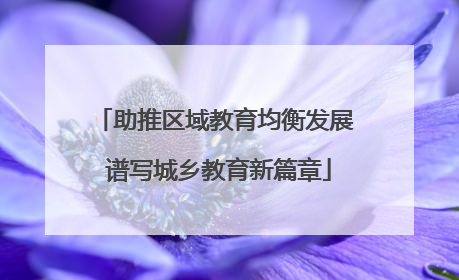 助推区域教育均衡发展 谱写城乡教育新篇章