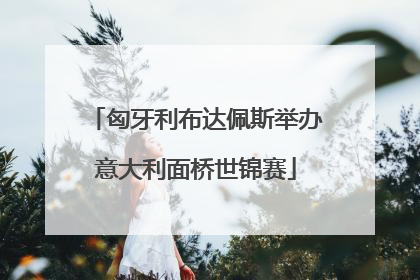 匈牙利布达佩斯举办意大利面桥世锦赛