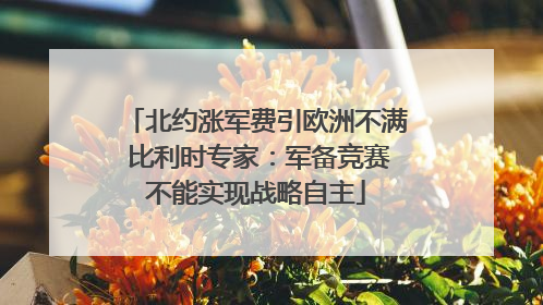 北约涨军费引欧洲不满 比利时专家：军备竞赛不能实现战略自主