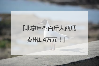 北京巨型百斤大西瓜卖出1.4万元！
