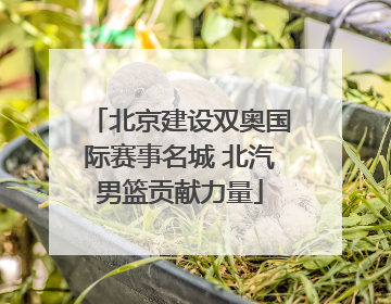 北京建设双奥国际赛事名城 北汽男篮贡献力量