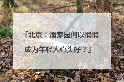 北京：潘家园何以悄悄成为年轻人心头好？