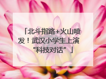 北斗指路+火山喷发！武汉小学生上演“科技对话”