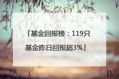 基金回报榜：119只基金昨日回报超3%