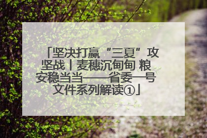 坚决打赢“三夏”攻坚战丨麦穗沉甸甸 粮安稳当当——省委一号文件系列解读①