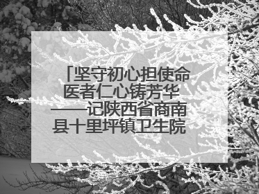 坚守初心担使命 医者仁心铸芳华——记陕西省商南县十里坪镇卫生院副院长贾胡委