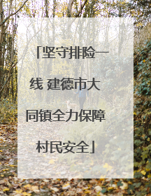 坚守排险一线 建德市大同镇全力保障村民安全