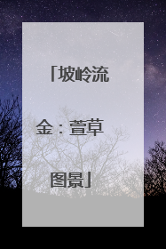 坡岭流金：萱草图景
