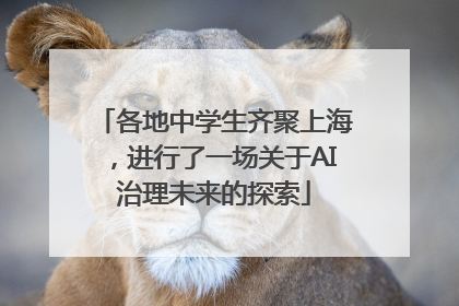 各地中学生齐聚上海，进行了一场关于AI治理未来的探索