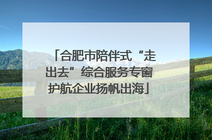 合肥市陪伴式“走出去”综合服务专窗护航企业扬帆出海