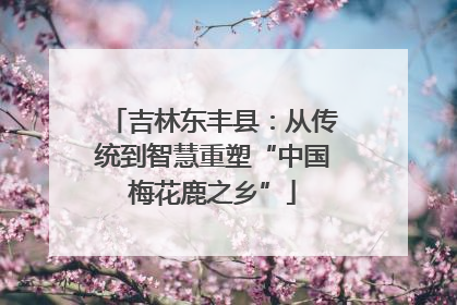 吉林东丰县：从传统到智慧重塑“中国梅花鹿之乡”