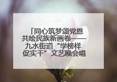 同心筑梦颂党恩 共绘民族新画卷——九水街道“学榜样 促实干”文艺晚会唱响民族团结主旋律