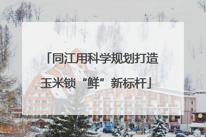 同江用科学规划打造玉米锁“鲜”新标杆