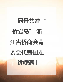 同舟共建“侨爱岛” 浙江省侨商会青委会代表团走进嵊泗