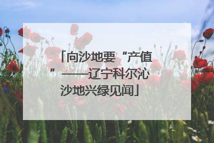 向沙地要“产值”——辽宁科尔沁沙地兴绿见闻