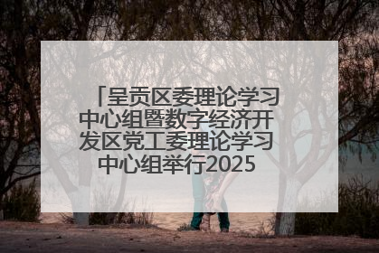 呈贡区委理论学习中心组暨数字经济开发区党工委理论学习中心组举行2025年第七次学习会议