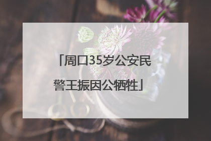 周口35岁公安民警王振因公牺牲