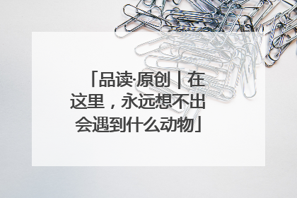 品读·原创｜在这里，永远想不出会遇到什么动物