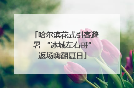 哈尔滨花式引客避暑 “冰城左右哥”返场嗨翻夏日