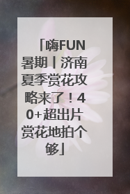 嗨FUN暑期丨济南夏季赏花攻略来了！40+超出片赏花地拍个够
