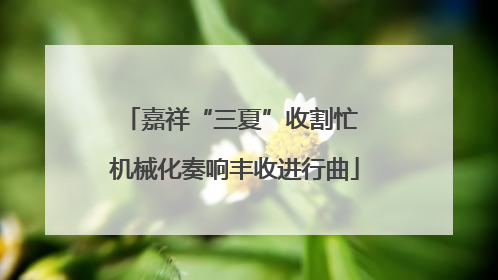 嘉祥“三夏”收割忙 机械化奏响丰收进行曲